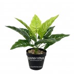 Cây giả để bàn cao 35cm _  lá khoai